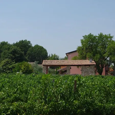La Casa Del Mandorlo Farm stay